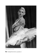 A10160F0001860_Koruna-pravdy-a-nepravdy-