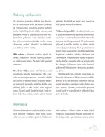 A10160F0003332_Vesele-velikonoce-list4.j