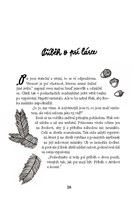 A10160F0004184_Putovani-za-mimisky-list1