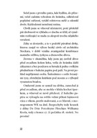 A10160F0005155_Pripad-preletaveho-staroz