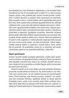 A10160F0011241_tajemna-mista-ceska-2024-