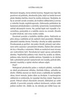 A10160F0006935_Zitrek-ti-nikdo-neslibil-