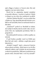 a101f0f0000376_klub-tygru-fantom-z-fotba