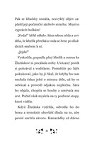 a101f0f0000392_staje-ve-slunecnem-udoli-