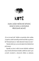 a101f0f0000481_zuzka-a-ztracene-kote-lis