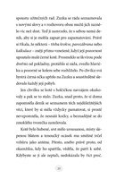 a101f0f0000481_zuzka-a-ztracene-kote-lis