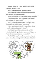 a101f0f0000550_max-a-viky-ve-svete-zahad