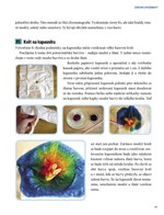 a101f0f0000633_zabavne-experimenty-list2