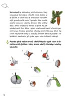 a101f0f0000786_poznavej-les-hravy-zapisn