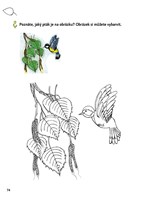 a101f0f0000786_poznavej-les-hravy-zapisn