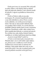 a101f0f0000787_ondra-a-kouzelny-obraz_li