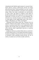 a101f0f0000870_jezdkyne-svetla-volani-os