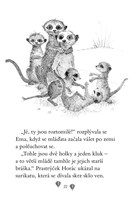 a101f0f0000911_ema-ajkz-9-neposedna-suri