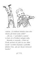 a101f0f0001390_pssk-naslo-se-kotatko-lis