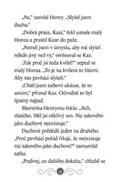 a101f0f0001830_strasidelna-knihovna-duch