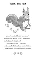 a101f0f0002070_pribehy-z-vrboveho-hajku-