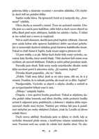 a101f0f0002303_vespertina_temna-knezka-l