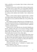 a101f0f0002434_strazci-rozhrani-hrozba-z