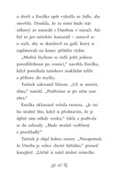 a101f0f0002547_pssk-zatoulane stenatko-l