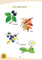 a101f0f0002589_zapisnik-maleho-zalesaka 