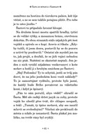 a101f0f0003573_kun-a-jeho-chlapec-list4.