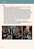 a101f0f0003904_hravy-pruvodce-ceskem-lis