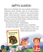 a101f0f0003905_flora-a-leo-tajemstvi-les