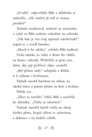 a101f0f0004084_pssk-ztraceny-jezecek-lis