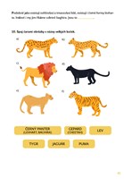 a101f0f0004330_svet-kolem-nas-v-souvislo