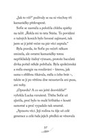 a101f0f0004449_spssk-zachraneny-konik-li