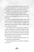 a101f0f0004700_zasnezene-vanoce-list3.jp