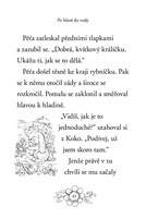 a101f0f0004803_zviratka-z-kouzelneho-les