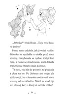 a101f0f0005217_zachranarky-z-hvezdolesa-