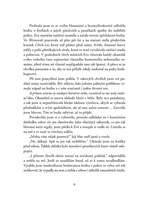 a101f0f0005230_litersum_polibek-muzy_lis