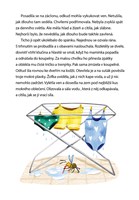 a101f0f0005231_jak-vosa-zofka-vyrazila-d