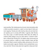 a101f0f0005295_na-minutku-o-masinkach-li