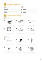 a101f0f0005300_kratka-cviceni-z-ceskeho-