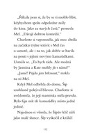 a101f0f0006087_kouzelny-kralicek-vylet-k