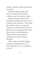 a101f0f0006087_kouzelny-kralicek-vylet-k