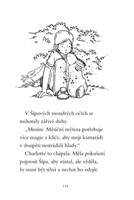 a101f0f0006087_kouzelny-kralicek-vylet-k