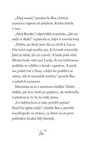 a101f0f0006528_spssk-2-vysneny-pejsek-li