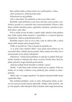 a101f0f0007122_mesto-horicich-kridel-lis