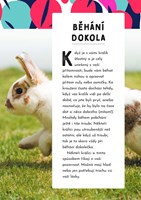 a101f0f0007518_jak-mluvit-se-zviraty-lis