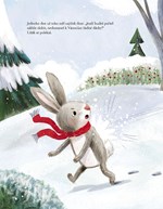 a101f0f0007561_lisakova-vanocni-nadilka-