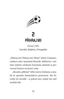 a101f0f0008091_hvezdy-fotbaloveho-hriste