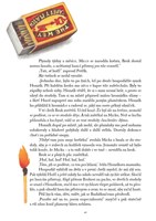 a101f0f0009289_sverak_uhlir_detem-list4.