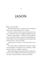 a101f0f0010067_bohove-olympu-krev-polobo