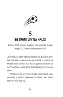 a101f0f0011128_hvezdy-fotbaloveho-hriste