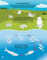 a101f0f0011352_knizka-se-samolepkami-uza