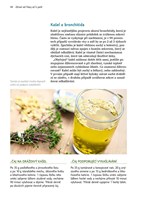 a101a0f0000981_muj-prvni-kurz-lecivych-r